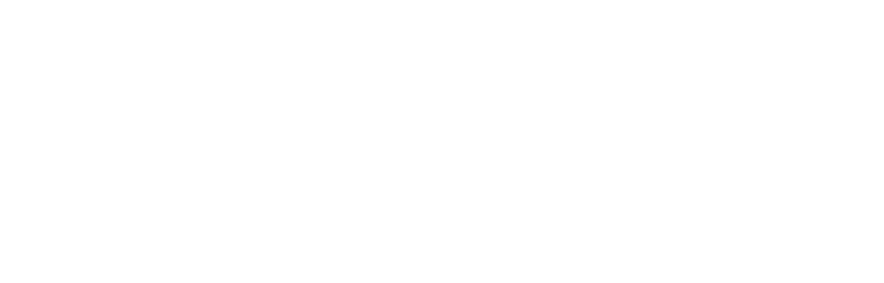 SNAIC